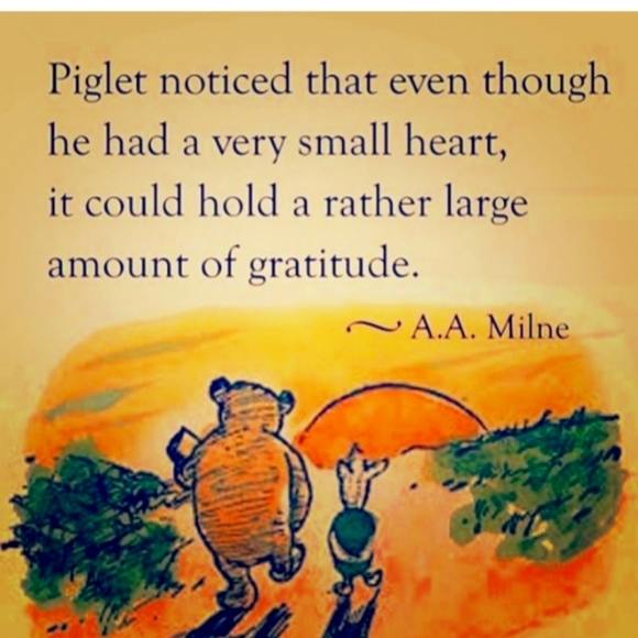 🌺  Lego WILDFLOWER 💐 BOUQUET BOTANICAL COLLECTION BOX DENTED 🌼 DAISY 🌺 - Picture 7 of 16